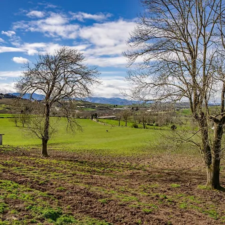Country house Casa Nueva